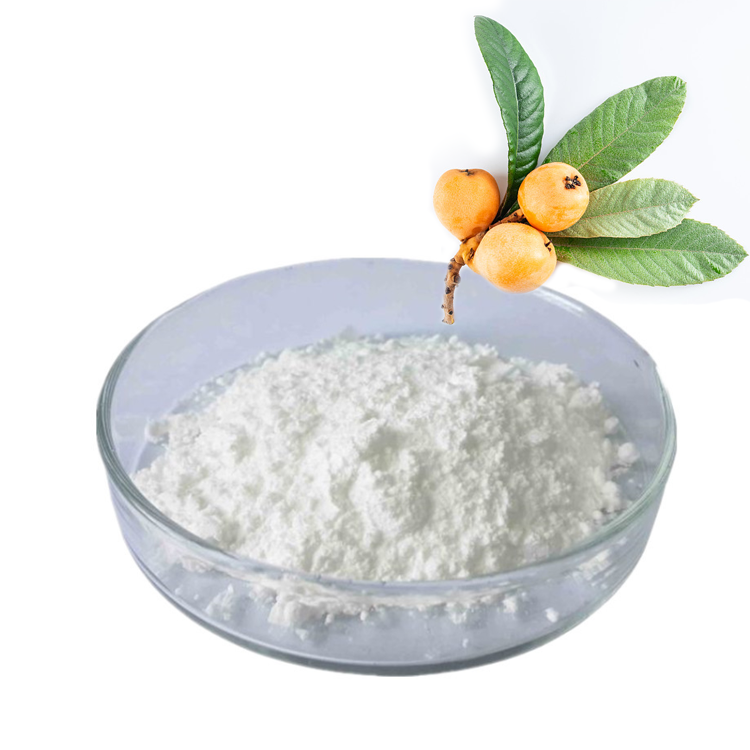 High quality loquat leaf extract ursolic acid 80% 90% 98% CAS 77-52-1 ursolic acid powder