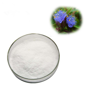 HERBASEA Beta Ecdysterone Powder 98% Cyanotis Vaga Extract