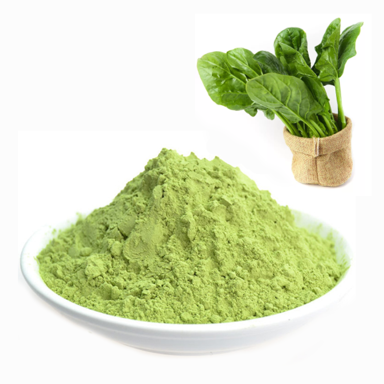 Herbasea Pure natural High Quality 100% Pure Organic Dehydrated Dried Green Spinach Powder