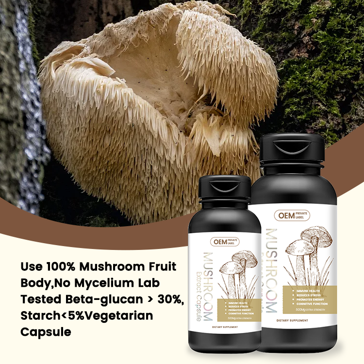 Factory Mushroom Capsules Reishi Lion's Mane Mushroom Extract Ganoderma Lucidum Capsule