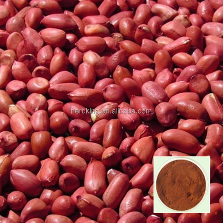 HIgh quality Peanut Red Skin Extract 95% Proanthocyanidins (OPC)