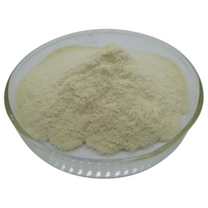 Hot Selling Wholesale whey protein  isolate powder manufacturer