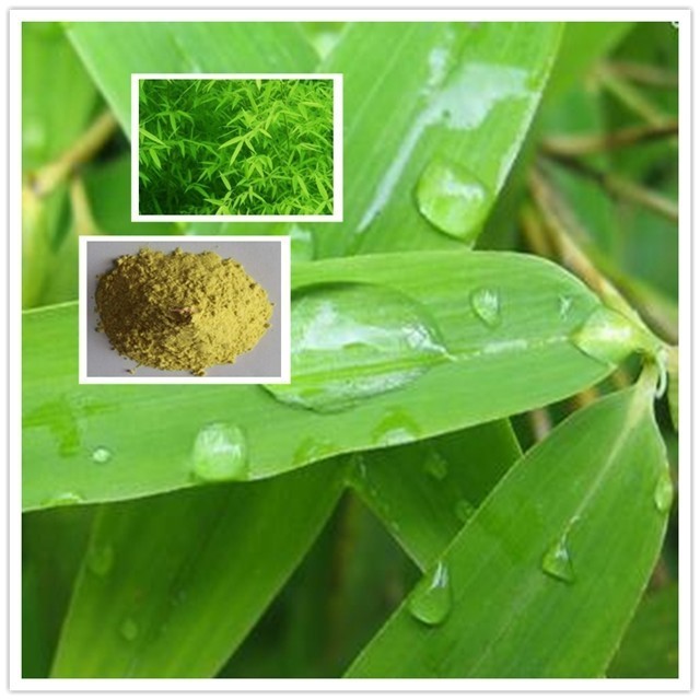 Wholesale Food Grade Organic 70% Silica Bamboo Leaf Extract Powder