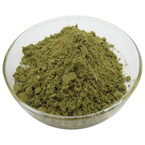 Moringa leaves powder