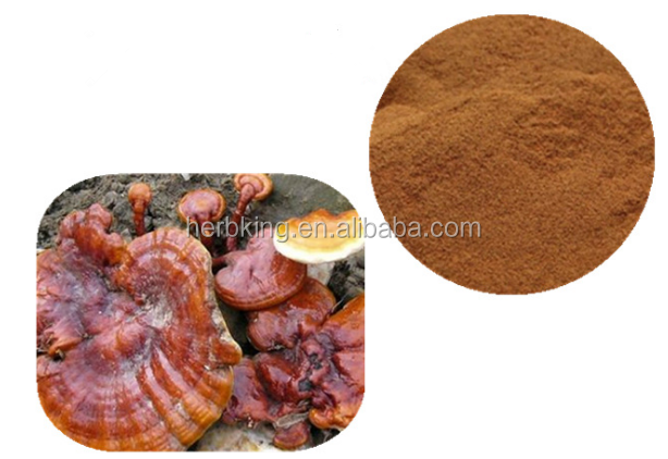 Private Label Supplement Ganoderma Lucidum Whole Plant Extract Capsules Organic Mushroom Coffee Powder