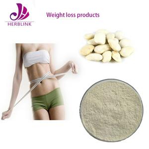 Herblink Supply Natural Anti-aging White Kidney Bean Extract Powder