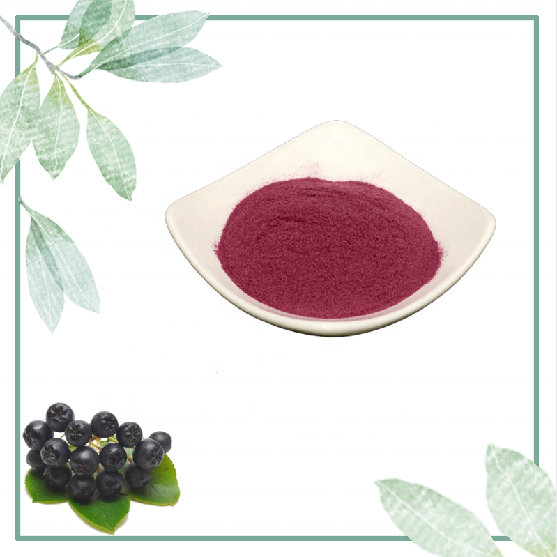 Supply 100% Pure Natural Aronia Berry Extract Powder 5%-25% Anthocyanidins