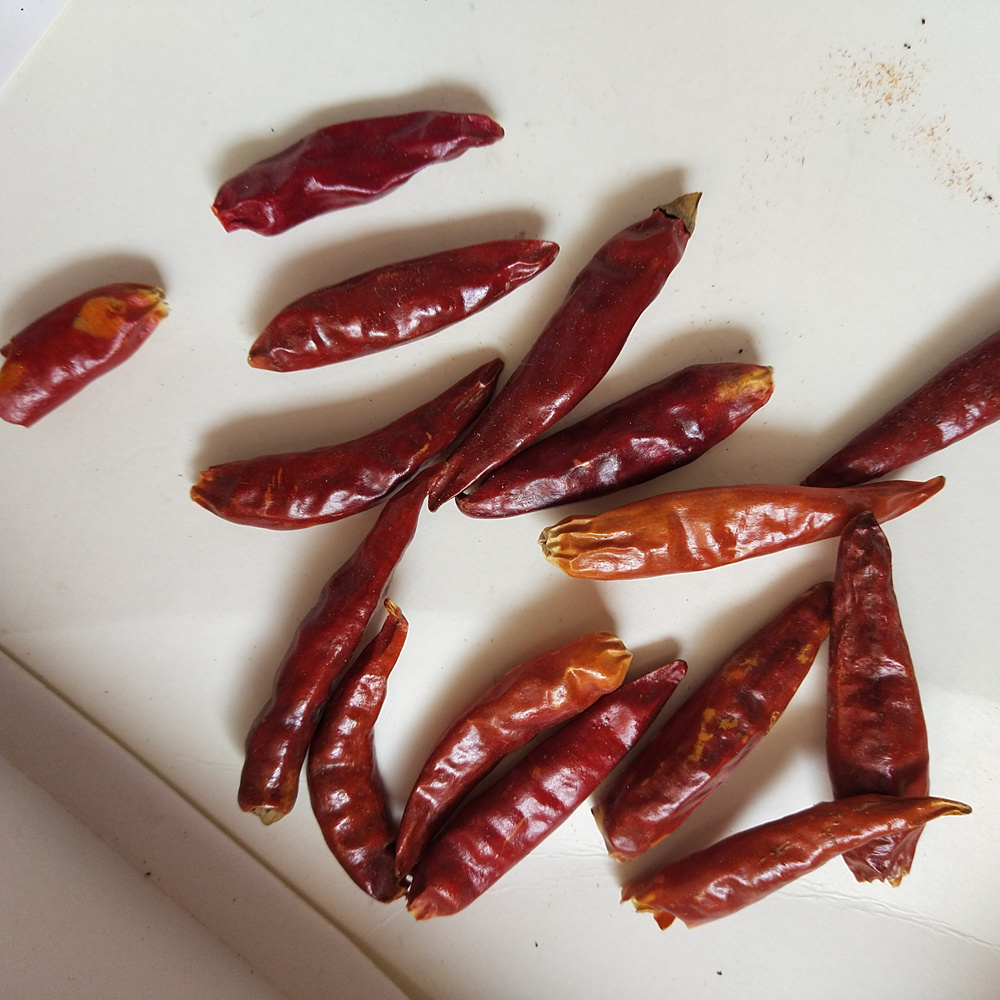 Very hot spicy New crops best price chili pepper from China as raw spice