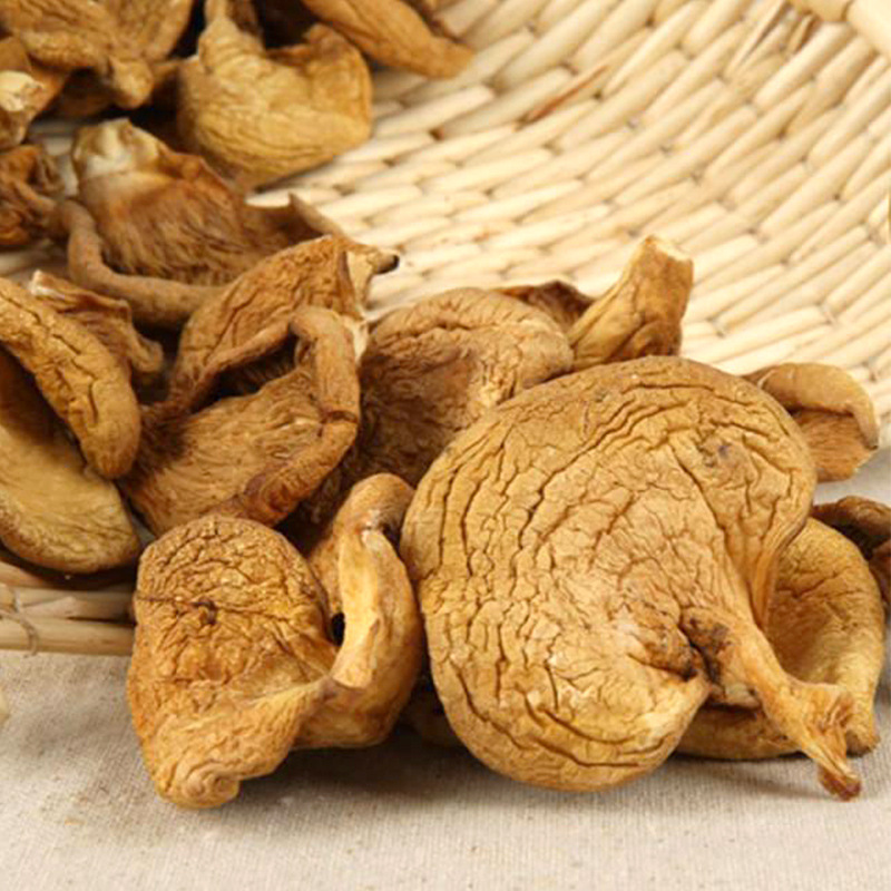 Wholesale raw Panellus serotinus dried Panellus serotius mushroom late fall oyster mushroom for food