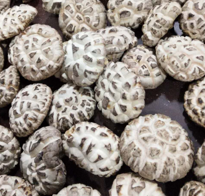 High quality Dry shiitake mushroom edible raw dried shiitake mushrooms with white flower pattern