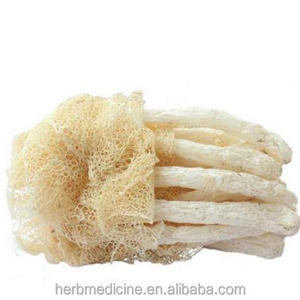 Loose packing dried fungus for food Long Net Stinkhorn Dictyophora pholloides Desv