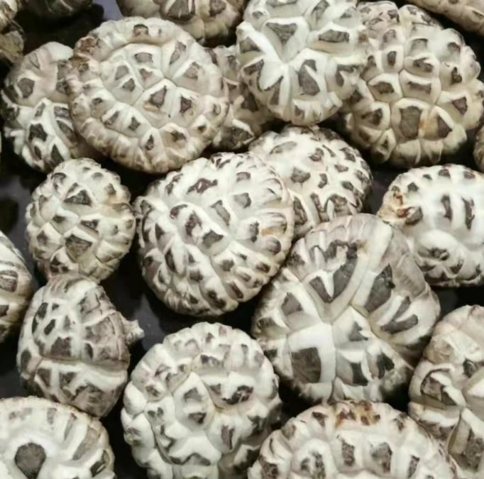 High quality Dry shiitake mushroom edible raw dried shiitake mushrooms with white flower pattern