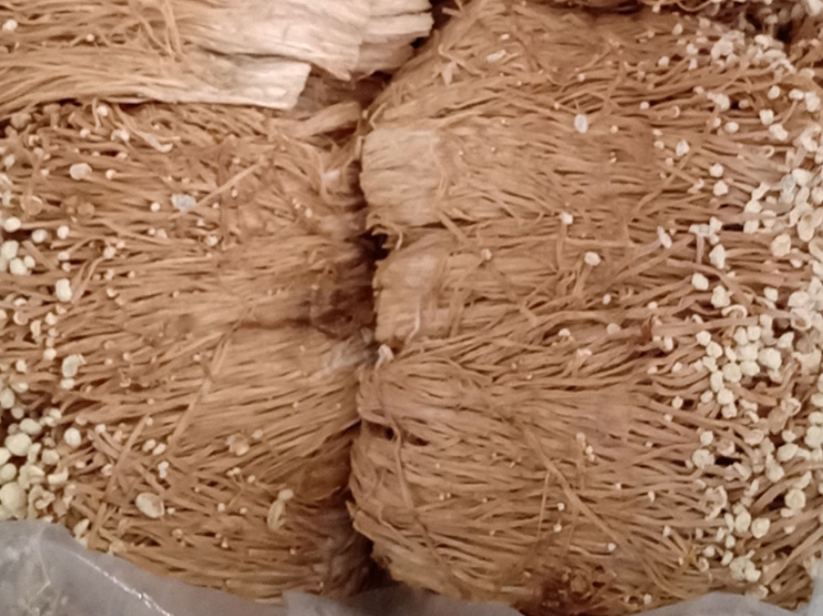 Jin zhen gu Dried wholesale cheap price enoki mushroom for food