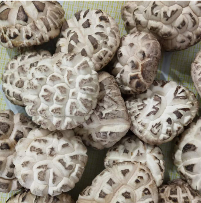 High quality Dry shiitake mushroom edible raw dried shiitake mushrooms with white flower pattern