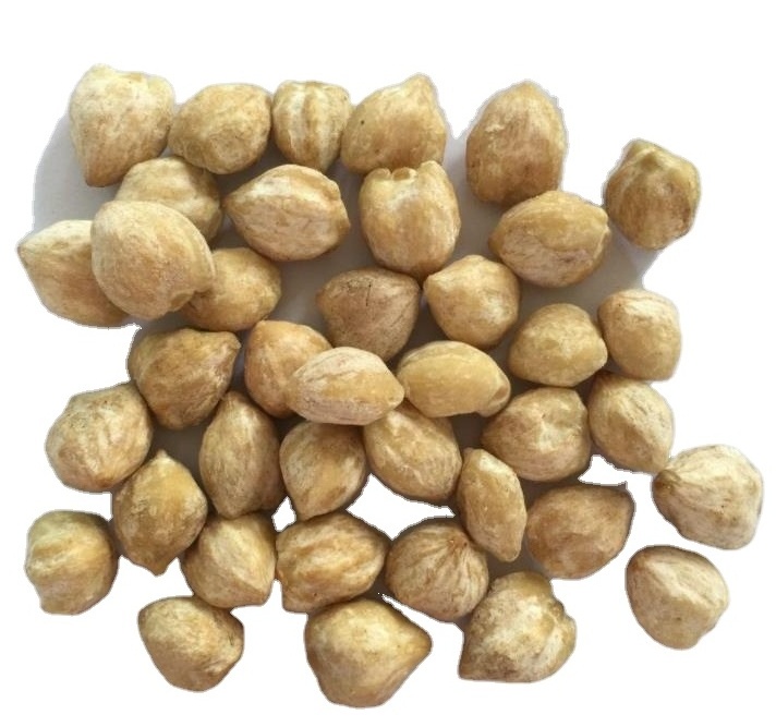 Natural Aleurites moluccana seeds Kukui Nut Indian-walnut candleberry fruits for sale