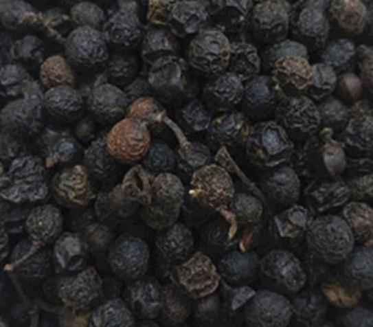 Bulk supply No preservatives dried new havested whole natural Piper cubeba fruits for spice sale