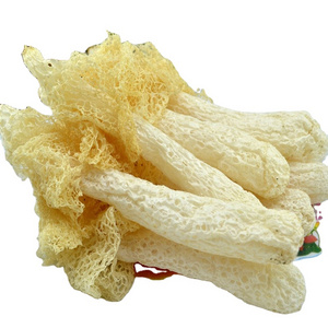 Bamboo fungus chu-sung Nutritional mushrooms Dictyophora indusiata Fisch for health food