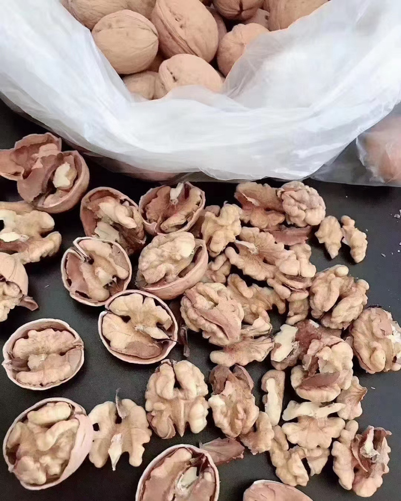 He tao China wholesale cheap prices raw dried walnut with shell whole fruits walnuts for snacks