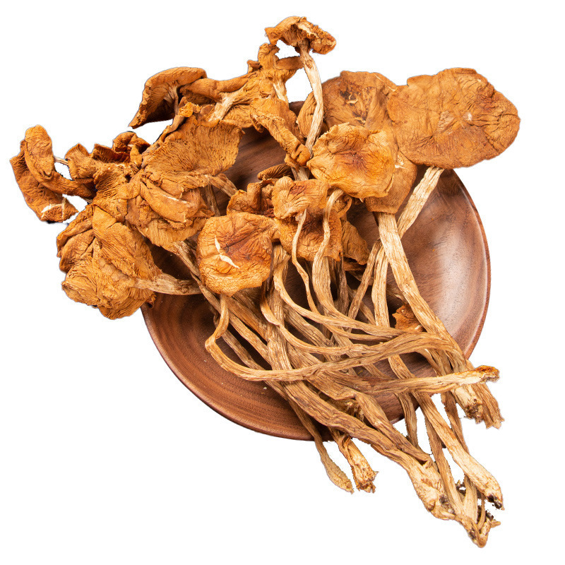 Wholesale Tea Tree Mushrooms Yunnan Tea Tree Mushroom Dry Goods Source Base Large Quantity Direct Supply of Bulk Dry Mushroom