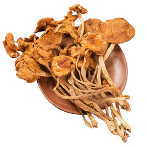 Wholesale Tea Tree Mushrooms Yunnan Tea Tree Mushroom Dry Goods Source Base Large Quantity Direct Supply of Bulk Dry Mushroom