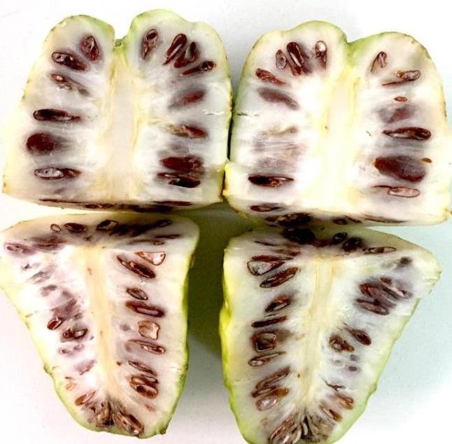 1kg  Natural fresh noni dried fruit for health and wellness noli slices for tea