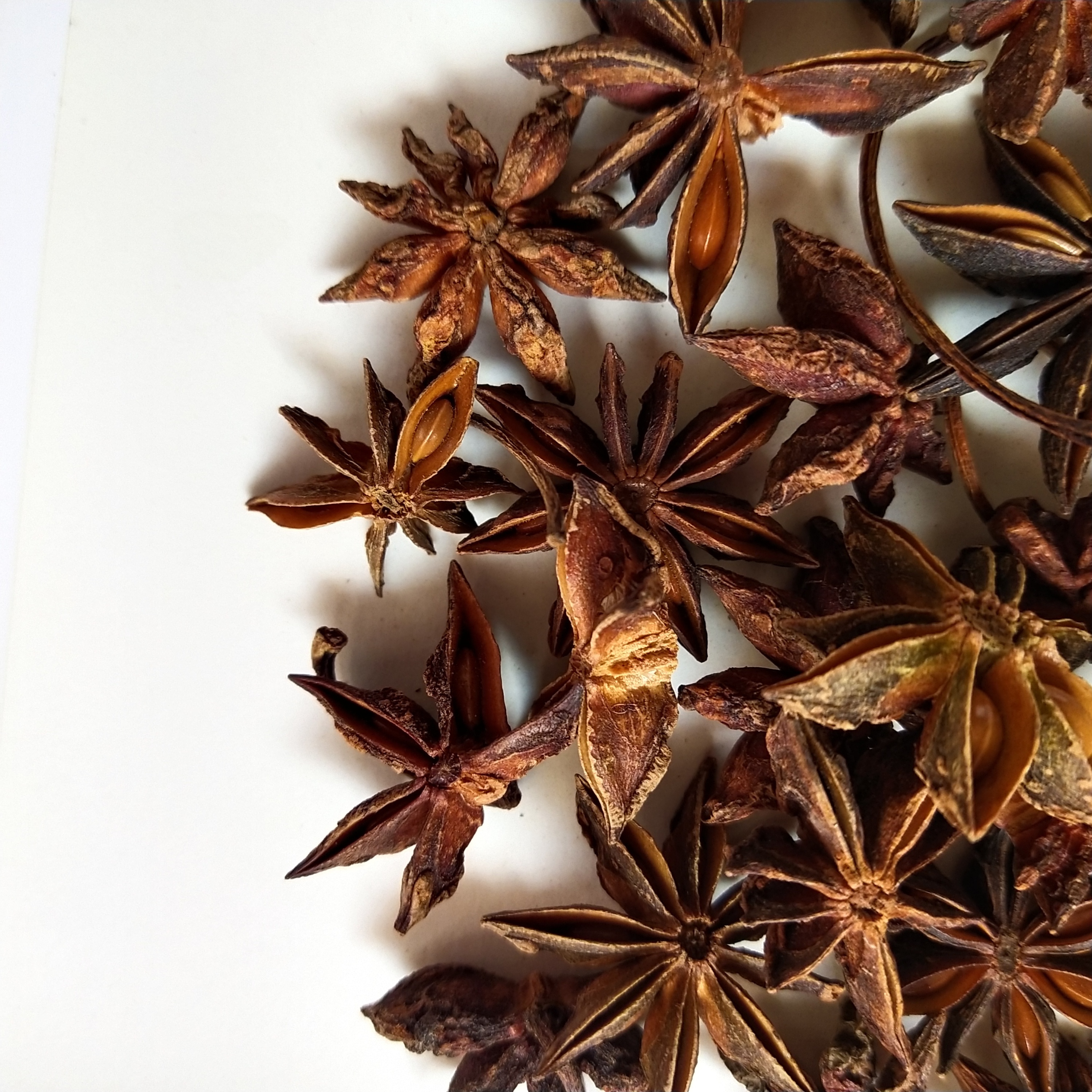 Ba Jiao Whole chinese spices new picked ANISEED Star Anise seed pods