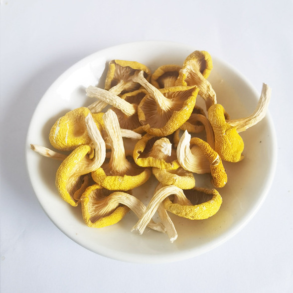 Ji you jun golden yellow dried Chanterelle mushrooms for sale