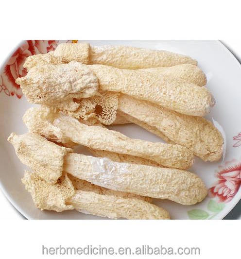 Loose packing dried fungus for food Long Net Stinkhorn Dictyophora pholloides Desv