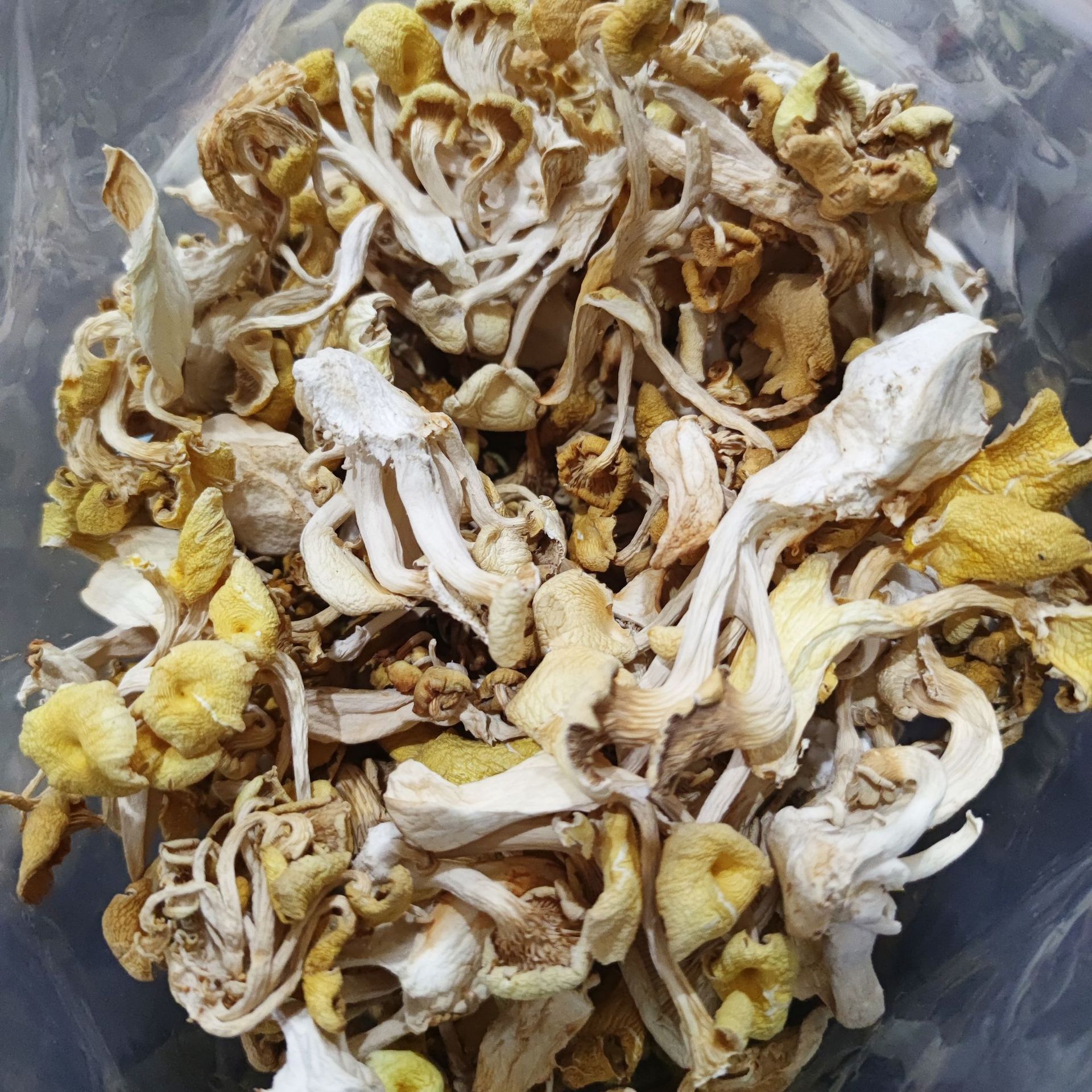 Edible Dried whole Lime oyster golden oyster mushrooms Pleurotus citrinopileatus fungus for sale