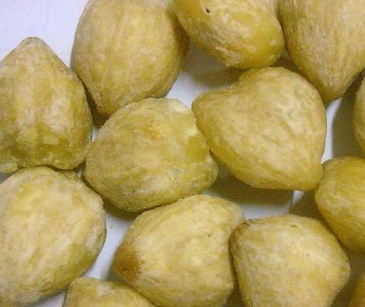 Natural Aleurites moluccana seeds Kukui Nut Indian-walnut candleberry fruits for sale