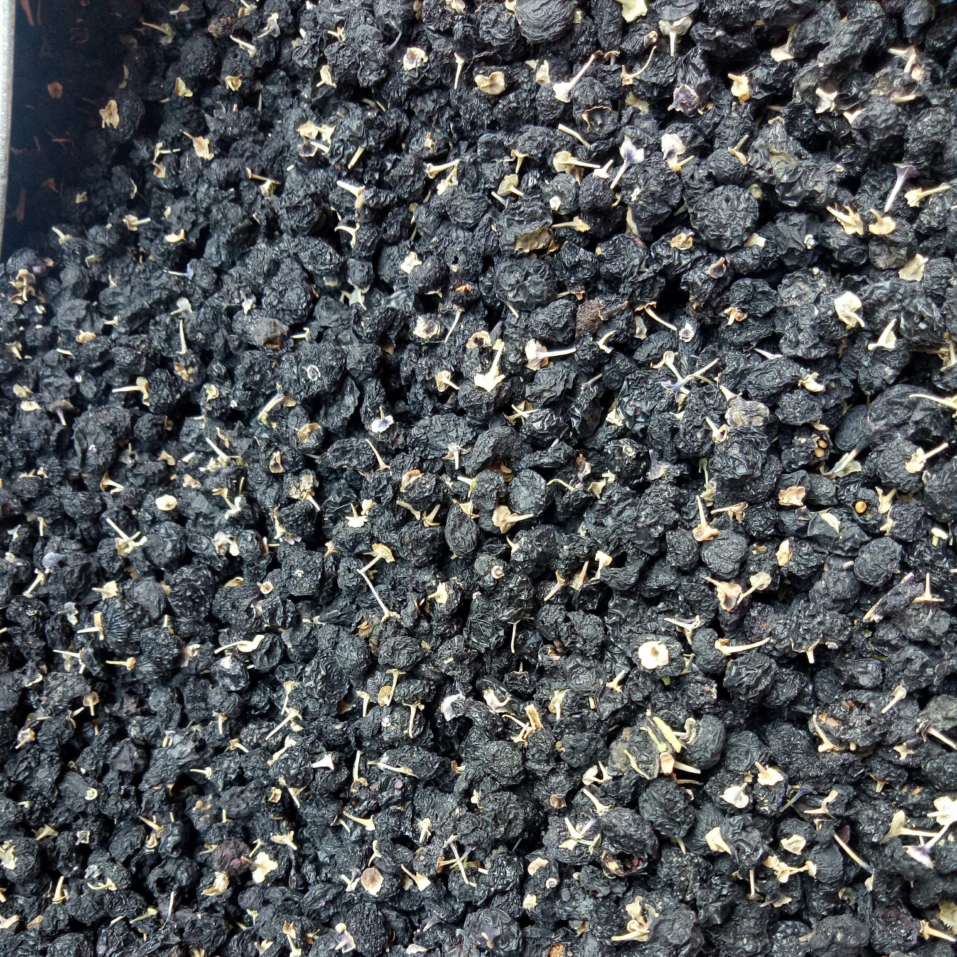 New arrival Wholesale bulk black goji berries and fruits from China with low price