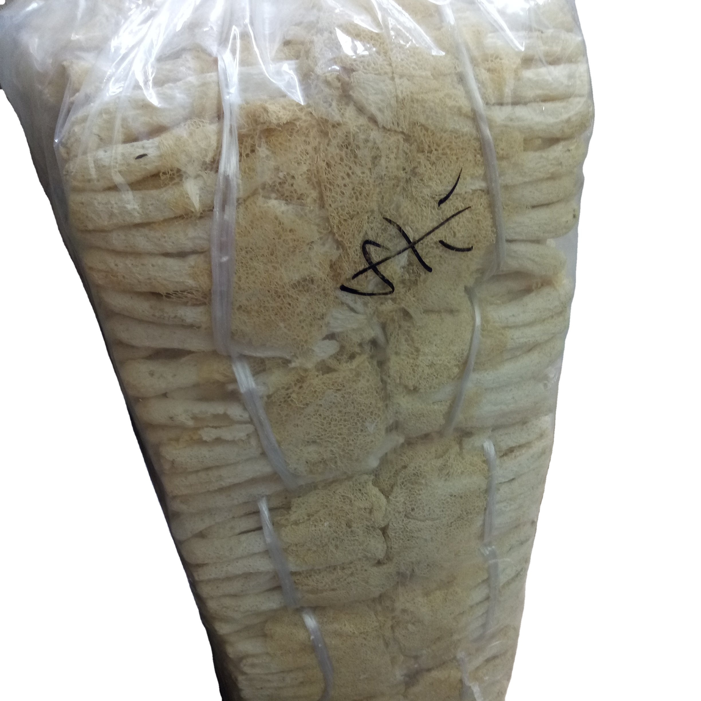 Wholesale raw dried Netted Stinkhorn from Dictyophora duplicate Bosc Fischer mushrooms for sale