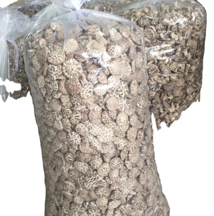 High quality Dry shiitake mushroom edible raw dried shiitake mushrooms with white flower pattern