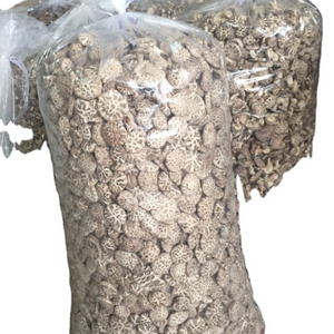 High quality Dry shiitake mushroom edible raw dried shiitake mushrooms with white flower pattern