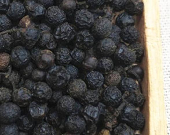 Bulk supply No preservatives dried new havested whole natural Piper cubeba fruits for spice sale