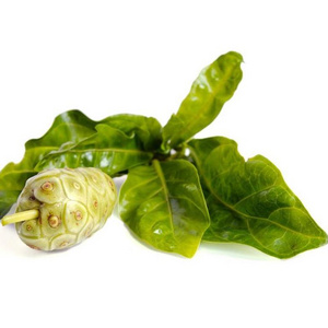 High grade new collected Naturally sun-dried Hawaiian noni leaves tea dried noni