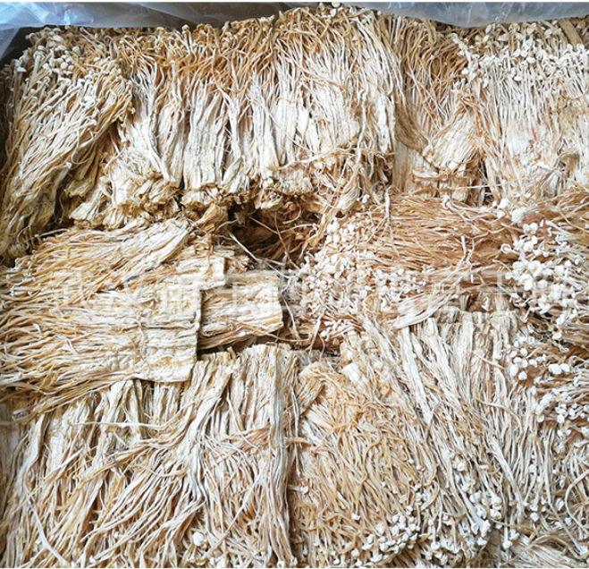 Jin zhen gu Dried wholesale cheap price enoki mushroom for food