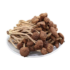 Cha shu gu Wholesale raw nutrition dried Tea Tree Mushrooms for sale