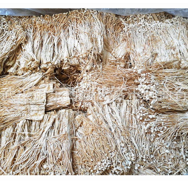 Wholesale raw pure dry enoki mushroom price of the enoki mushroom