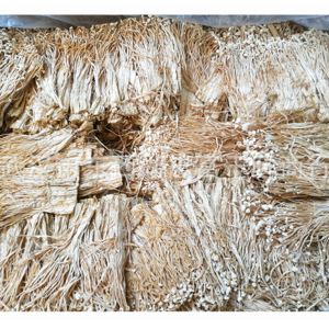 Wholesale raw pure dry enoki mushroom price of the enoki mushroom