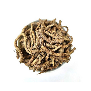 Direct Factory Supplier Brand New Product Natural Picrorhiza kurrooa (Kutaki) Super Quality At Reasonable Price