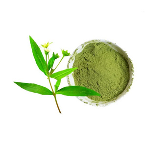 Buy Now Super Quality Natural Indian Export Bhringraj (Eclipta prostrata) Powder Available at Reasonable  price