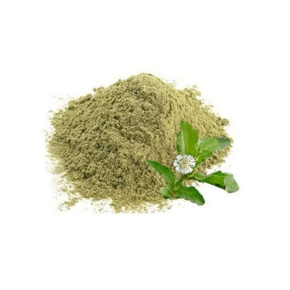 Buy Now Super Quality Natural Indian Export Bhringraj (Eclipta prostrata) Powder Available at Reasonable  price