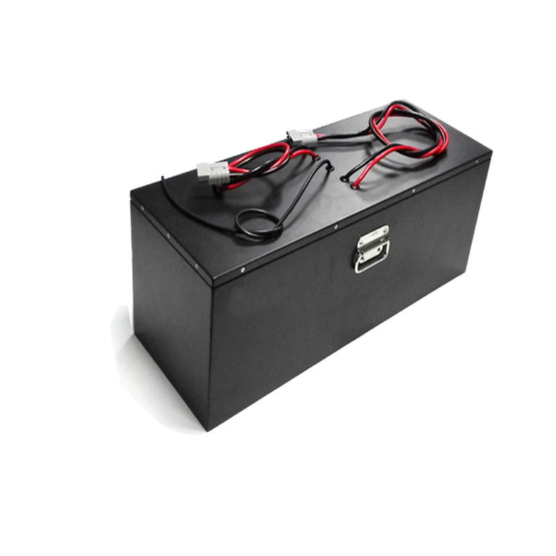 Customized Powered 48V 40Ah 50Ah 60Ah 100Ah Lithium Ion Battery e Rickshaw Battery for Three Wheeler Motor