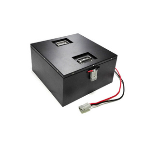 Customized Powered 48V 40Ah 50Ah 60Ah 100Ah Lithium Ion Battery e Rickshaw Battery for Three Wheeler Motor