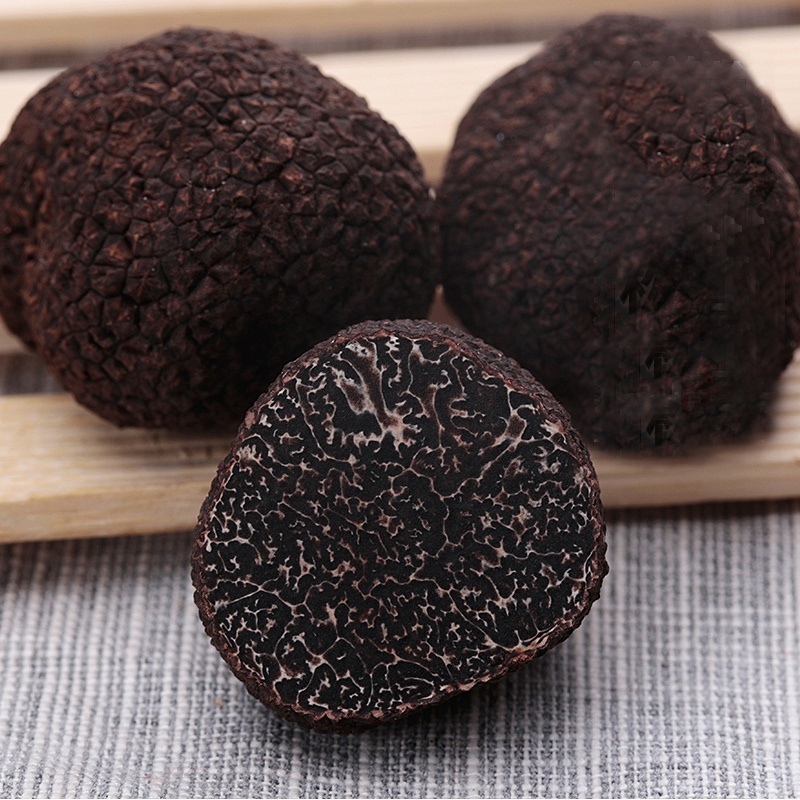 Truffle mushroom price/fresh black truffle for sale Chinese truffle