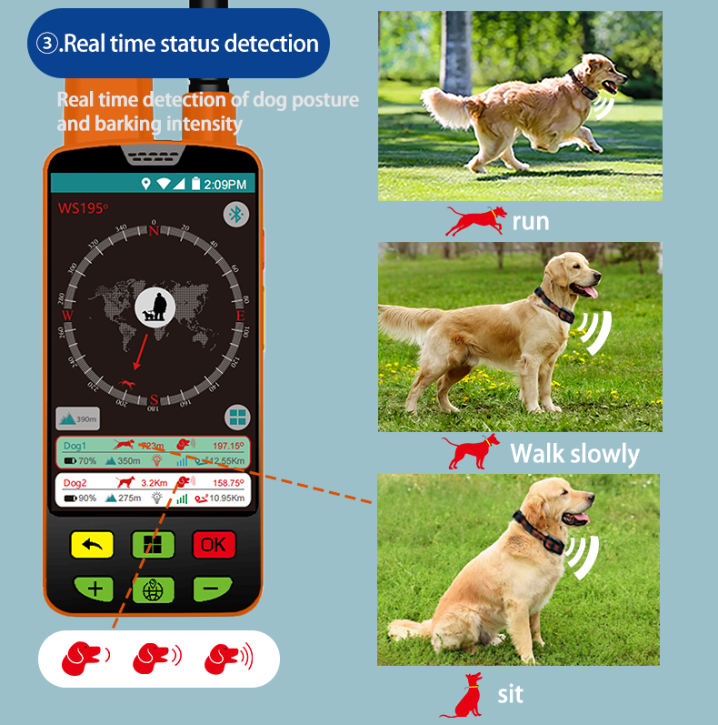 Outdoor use GPS Navigator Collar for Dog and boar hunting