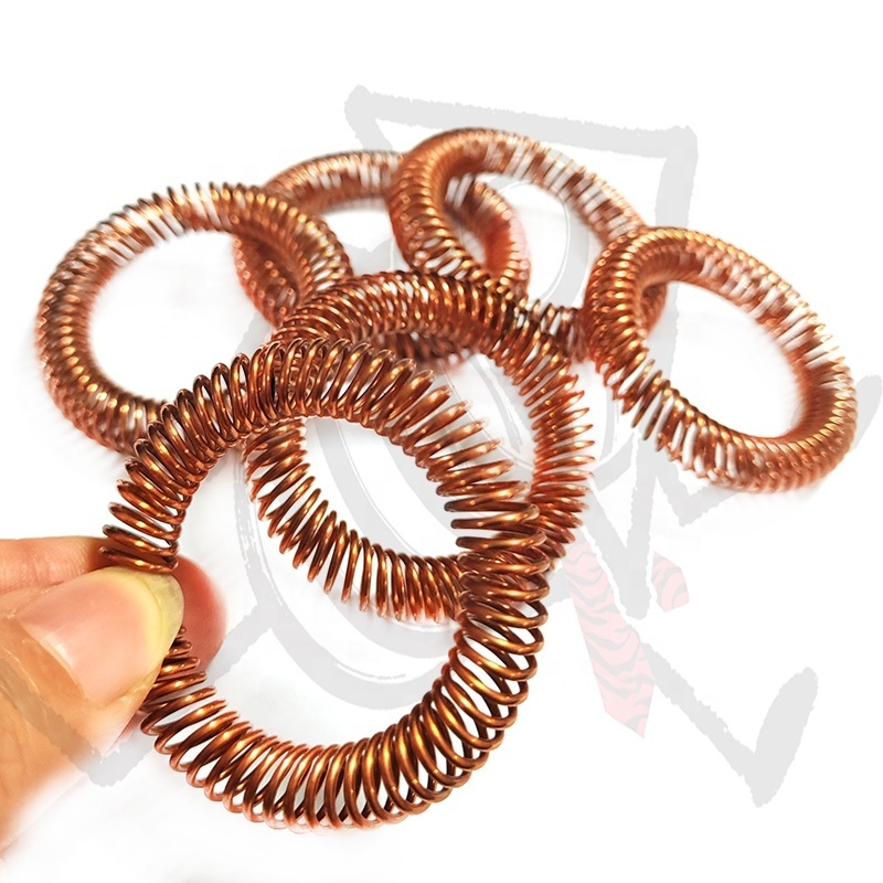 Circular Shape Canted Coil Spring Stainless Steel Interlocking Spring Copper Garter Spring For Oil Seals