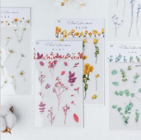 10 Styles Creative PET Dried Flower Sticker Decorative Sticker Leaves Plants Planner Diary Scrapbook Photo Album