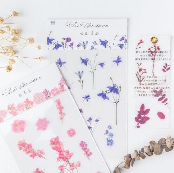 10 Styles Creative PET Dried Flower Sticker Decorative Sticker Leaves Plants Planner Diary Scrapbook Photo Album